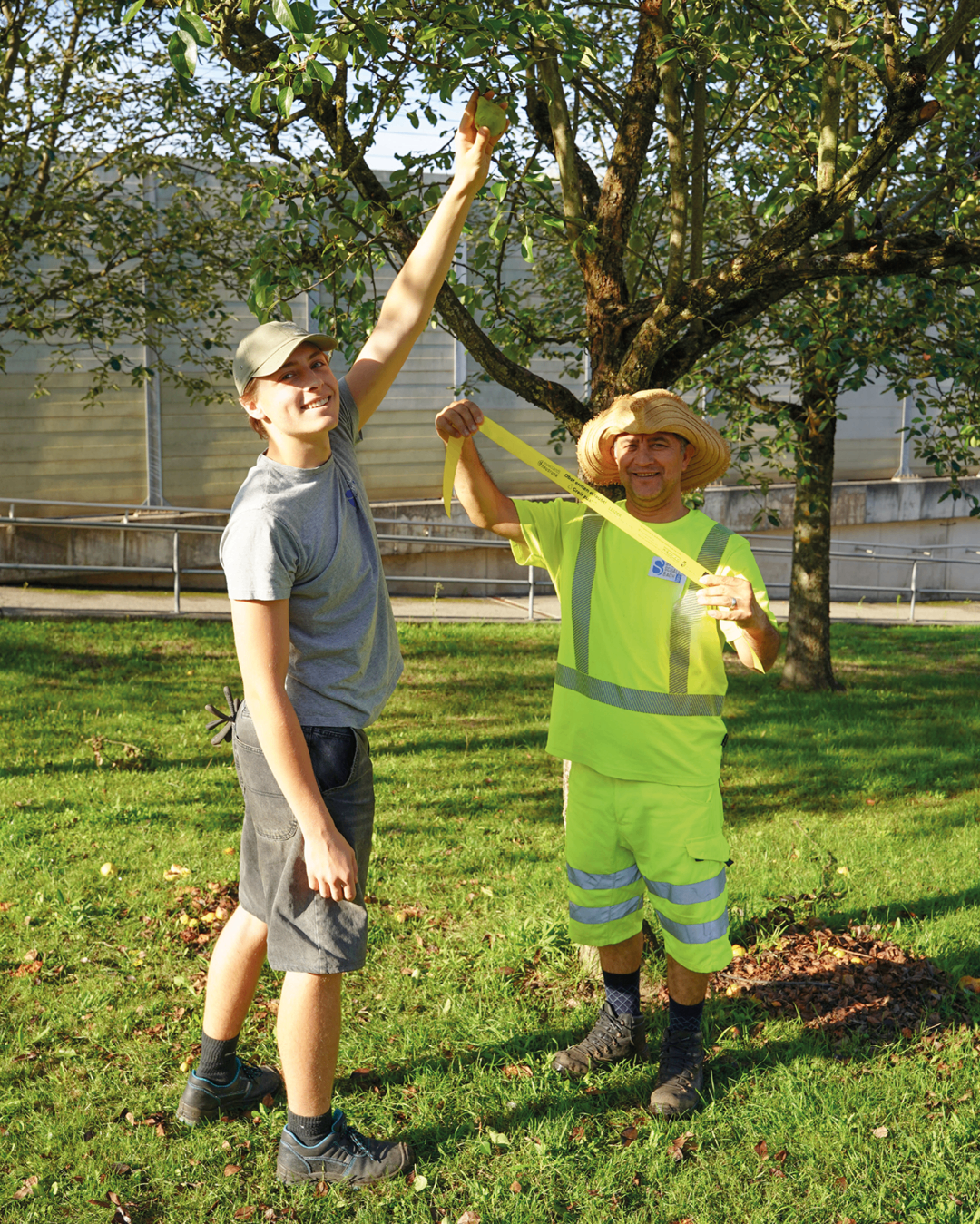 Zwei Männer in einem Park, einer hält ein Band, der andere pflückt Obst von einem Baum.
