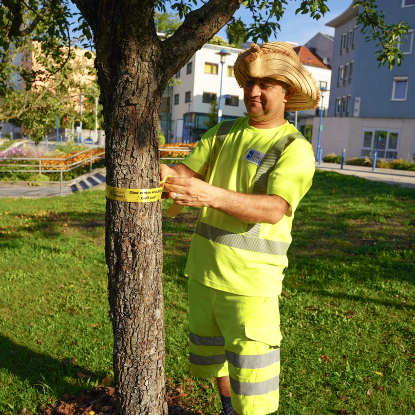 Ein Mann in einem gelben Sicherheitsanzug misst einen Baum mit einem gelben Band. Der Baum ist mit einem gelben Band umwickelt. Im Hintergrund befinden sich Gebäude und ein Weg.