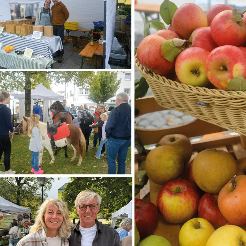 Eine Collage von Bildern, die einen Marktstand mit Äpfeln, ein Pferd mit einem Sattel und einen Korb mit Äpfeln zeigt.