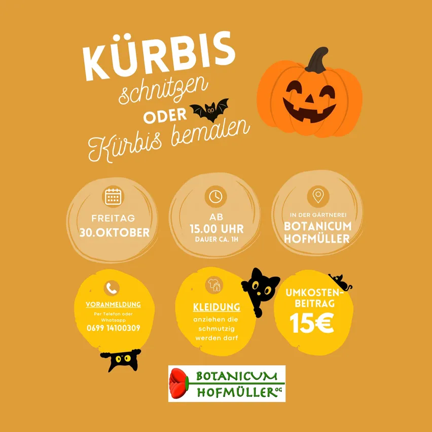Ein orangefarbenes Poster mit einem Kürbis und einer Fledermaus. Es steht 'Kürbis schnitzen oder Kürbis bemalen'. Es hat ein Datum, eine Uhrzeit, einen Ort und eine Telefonnummer.