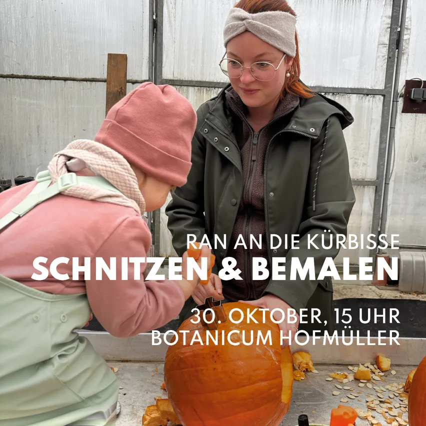 Eine Frau und ein Kind schnitzen Kürbisse in einem Gewächshaus. Das Kind trägt einen rosa Hut und die Frau trägt eine Brille und eine Kopfband.