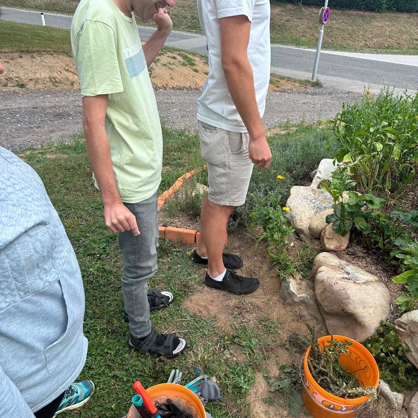 Three people are standing in a garden, one of them is pointing at something. There are buckets and gardening tools on the ground.