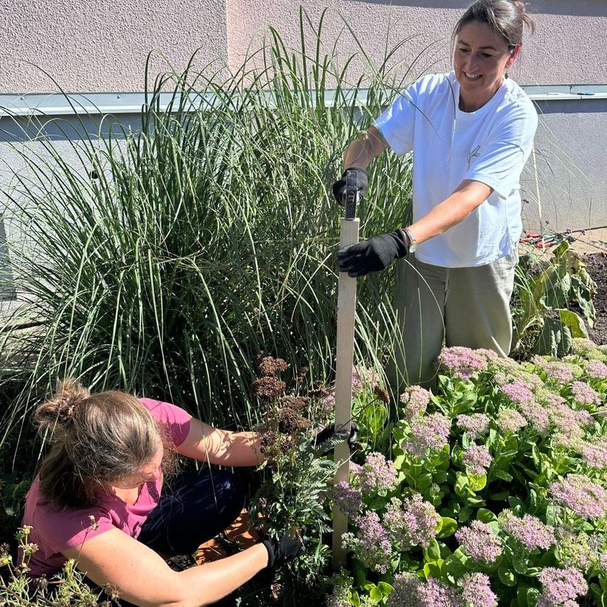 Two women are working in a garden, one kneeling and the other standing, both wearing gloves and white shirts. They are surrounded by tall plants and flowers.