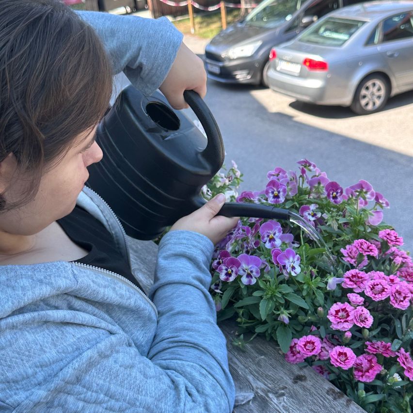 A person watering flowers with a watering can in a parking lot. Behind the person, two cars are parked.