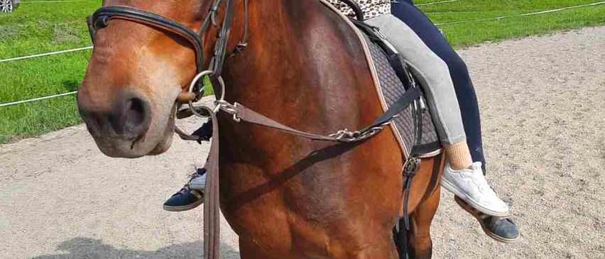 v1_migrated_image_53926377