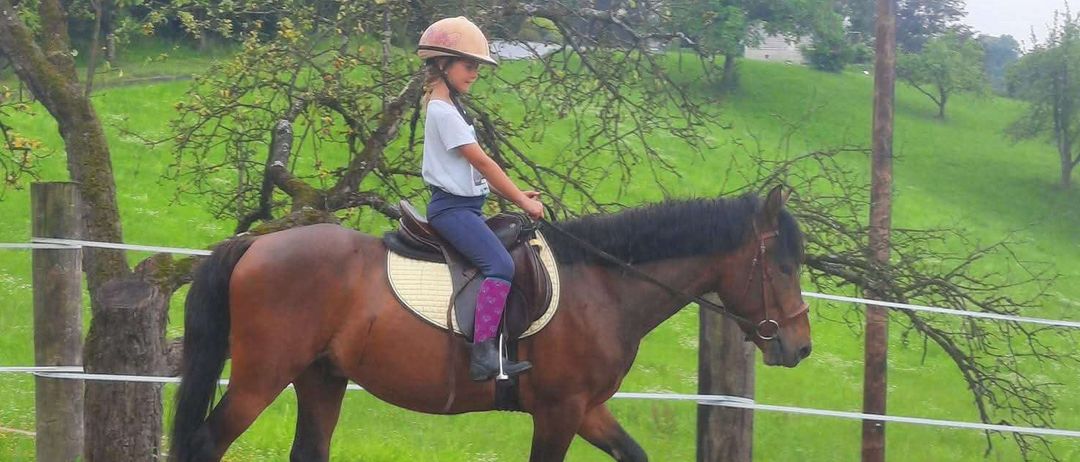 Ein junges Mädchen reitet ein braunes Pferd in einem eingezäunten Bereich, trägt einen Helm und Stiefel. Das Pferd hat einen schwarzen Schopf und läuft auf Erde.