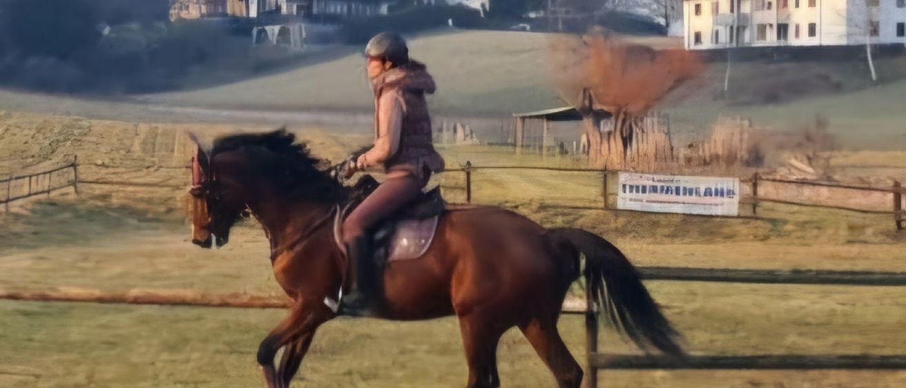 Eine Person reitet ein braunes Pferd auf einem Feld, trägt einen Helm und eine Jacke. Dahinter sind mehrere Häuser und Bäume zu sehen, mit einem Zaun und einem Schild im Vordergrund.