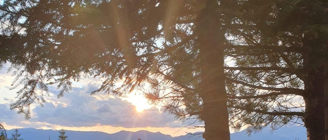 Die Sonne geht über einer Bergkette unter und wirft goldene Strahlen durch die Bäume und Büsche. Der Himmel ist teilweise bewölkt.