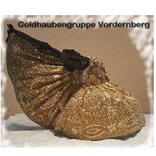 Goldhaubengruppe Vordernberg-Logo