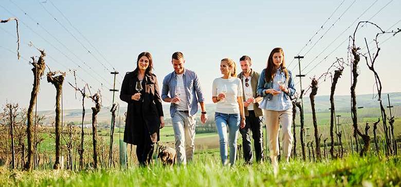 Bild enthält, Countryside, Nature, Outdoors, People, Rural, Farm, Coat, Vineyard, Alcohol, Wine Tour