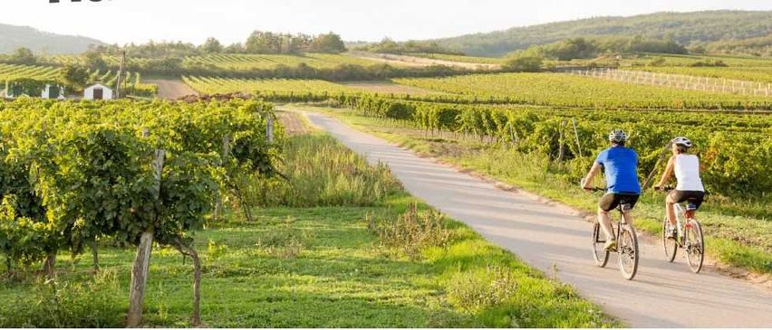 Bild enthält, Nature, Outdoors, Countryside, Helmet, Person, Bicycle, Rural, Farm, Wheel, Walking