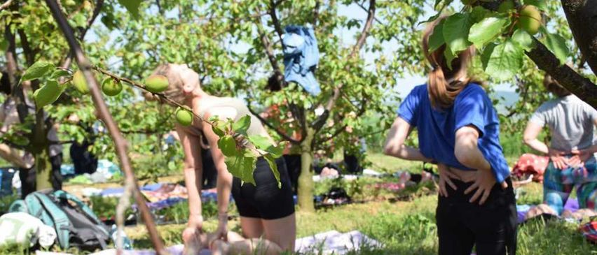 Bild enthält, Grass, Outdoors, Park, Adult, Female, Person, Woman, Vegetation, Backyard, Grove