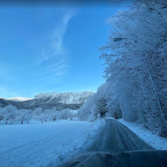 Eine verschneite Straße, umgeben von Bäumen und Bergen unter einem klaren blauen Himmel.