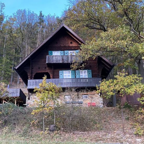 Ein Holzhaus mit steilem Dach und blauen Fensterläden steht eingebettet in einem Wald zwischen Bäumen.