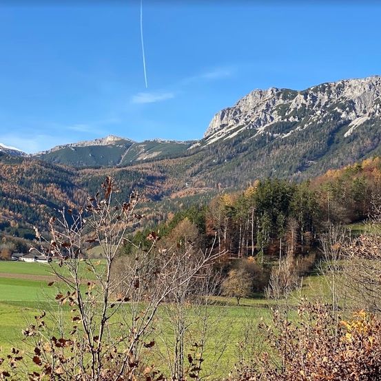 Ein Panoramablick auf eine bergige Landschaft mit klarem blauem Himmel, mit einem üppigen grünen Feld im Vordergrund und einer entfernten Bergkette.