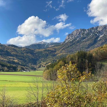Bild enthält, Ground, Nature, Outdoors, Scenery, Sky, Grass, Plant, Countryside