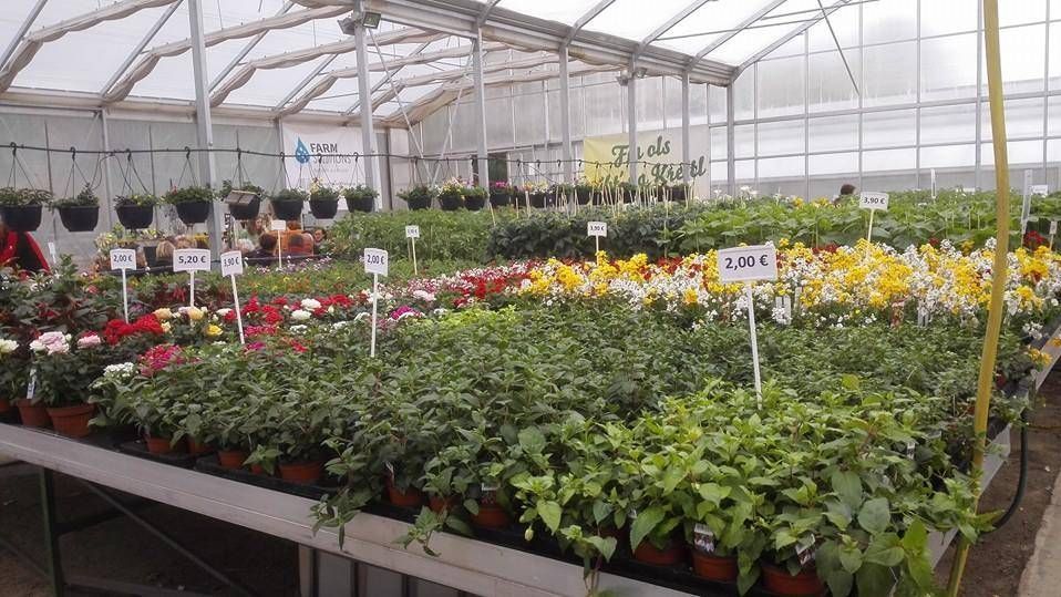 v1_migrated_image_28658622