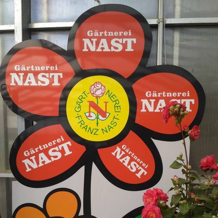 v1_migrated_image_98574152