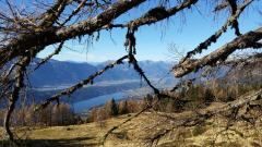 Ein panoramischer Blick von einer hohen Aussichtsplattform zeigt einen üppigen grünen Hügel mit Bäumen und einem See darunter, umgeben von Bergen unter einem klaren blauen Himmel.