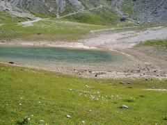 Ein ruhiger Bergteich umgeben von saftigem grünem Gras und felsigem Gelände, mit Bergen im Hintergrund.