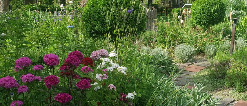 Ein farbenfroher Garten mit verschiedenen Blumen in Rosa, Rot und Weiß, umgeben von üppigem Grün und einem Ziegelweg. Bäume und Sträucher bilden eine natürliche Grenze.