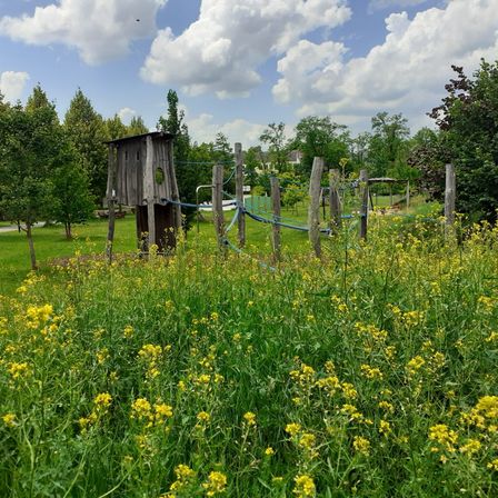 Bild enthält, Countryside, Field, Grassland, Meadow, Nature, Outdoors, Rural, Shelter, Grass, Vegetation
