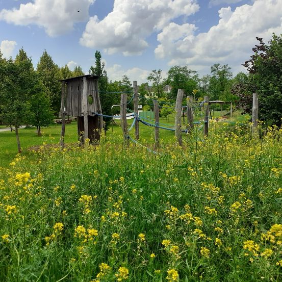 Bild enthält, Countryside, Field, Grassland, Meadow, Nature, Outdoors, Rural, Shelter, Grass, Vegetation