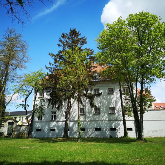 Bild enthält, Grass, Plant, Tree, Tree Trunk, Lawn, Fir, Architecture, Building, Outdoors, Nature