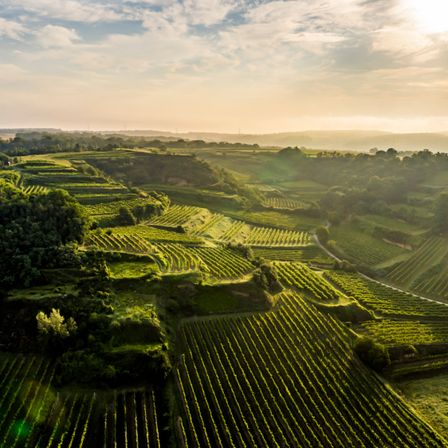 Bild enthält, Outdoors, Nature, Countryside, Rural, Farm, Aerial View
