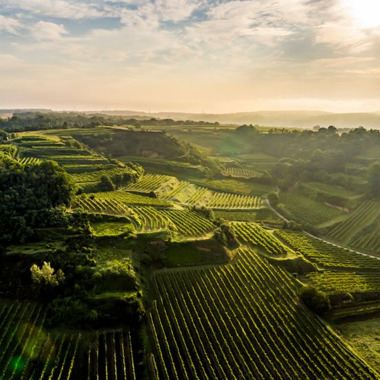 Bild enthält, Outdoors, Nature, Countryside, Rural, Farm, Aerial View