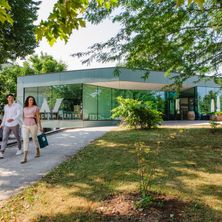 Bild enthält, Person, Walking, Grass, Park, Shelter, Sycamore, Tree, Handbag, Shoe, Villa