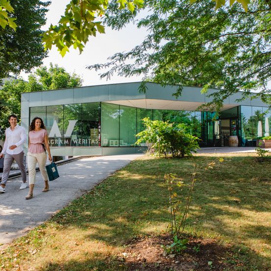 Bild enthält, Person, Walking, Grass, Park, Shelter, Sycamore, Tree, Handbag, Shoe, Villa