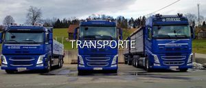 Ein blauer Lkw mit einem Website-Logo ist zusammen mit zwei anderen Lkws geparkt. Hinter dem Lkw befindet sich ein Grashügel mit einem Haus.