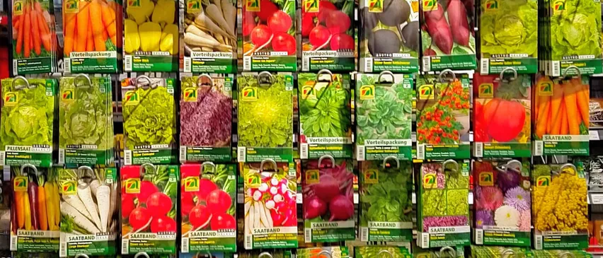 Eine Wand zeigt zahlreiche grüne Samentüten für verschiedene Gemüse- und Blumensorten, geordnet in Reihen mit Etiketten und Bildern der Pflanzen.