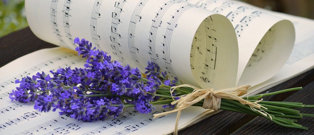 Bild enthält, Flower, Plant, Lavender, Tape, Text