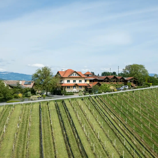 Luftaufnahme eines Weinbergs mit einem großen Haus im Hintergrund, umgeben von Bäumen und Bergen.