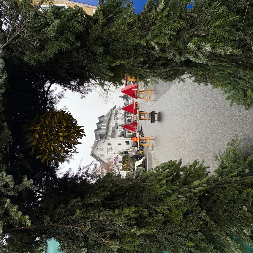 Vogelperspektive einer Außensitzecke mit roten Sonnenschirmen und Stühlen in der Nähe eines Gebäudes, eingefasst von großen immergrünen Bäumen.