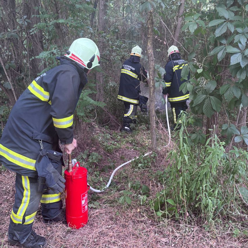 Drei Feuerwehrleute in voller Ausrüstung arbeiten in einem Wald, einer beugt sich über einen roten Feuerlöscher, während die anderen eine Schläuche halten.