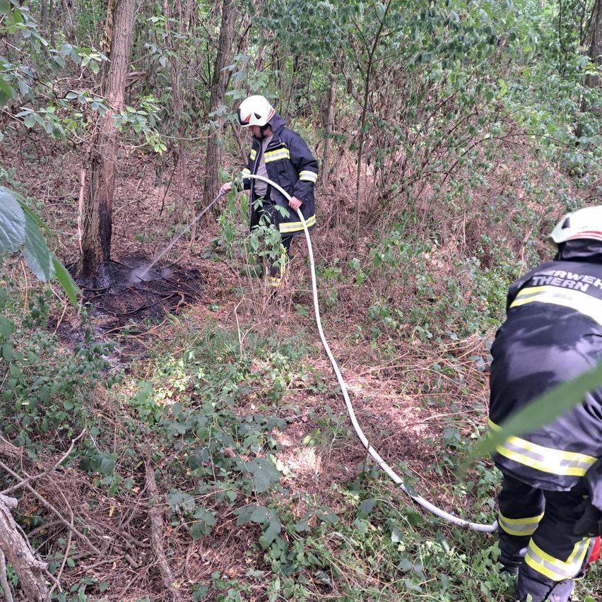 Zwei Feuerwehrleute in voller Ausrüstung spritzen Wasser auf ein kleines Feuer im Wald. Das Gebiet ist von dichter Vegetation umgeben.