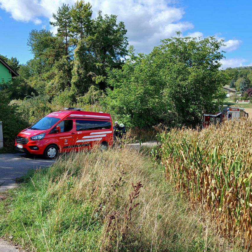 Ein rotes Notfallfahrzeug ist am Straßenrand geparkt, mit einer Person in einer gelben Weste in der Nähe. Das Fahrzeug ist von hohem Gras und Bäumen umgeben.
