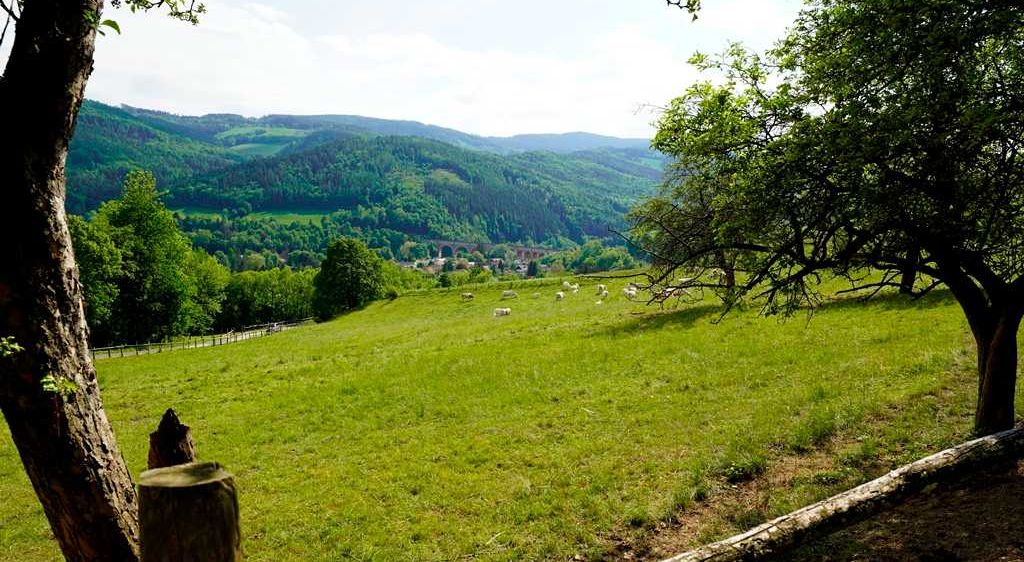 Bild enthält, Countryside, Field, Nature, Outdoors, Pasture, Rural, Tree, Grassland, Ranch, Scenery