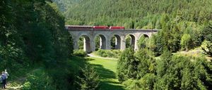Bild enthält, Plant, Vegetation, Bridge, Viaduct, Outdoors, Tree, Woodland, Person, Arch, Train