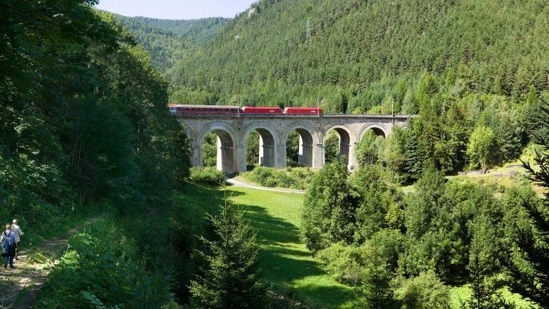 Plant, Vegetation, Bridge, Viaduct, Outdoors, Tree, Woodland, Person, Arch, Train