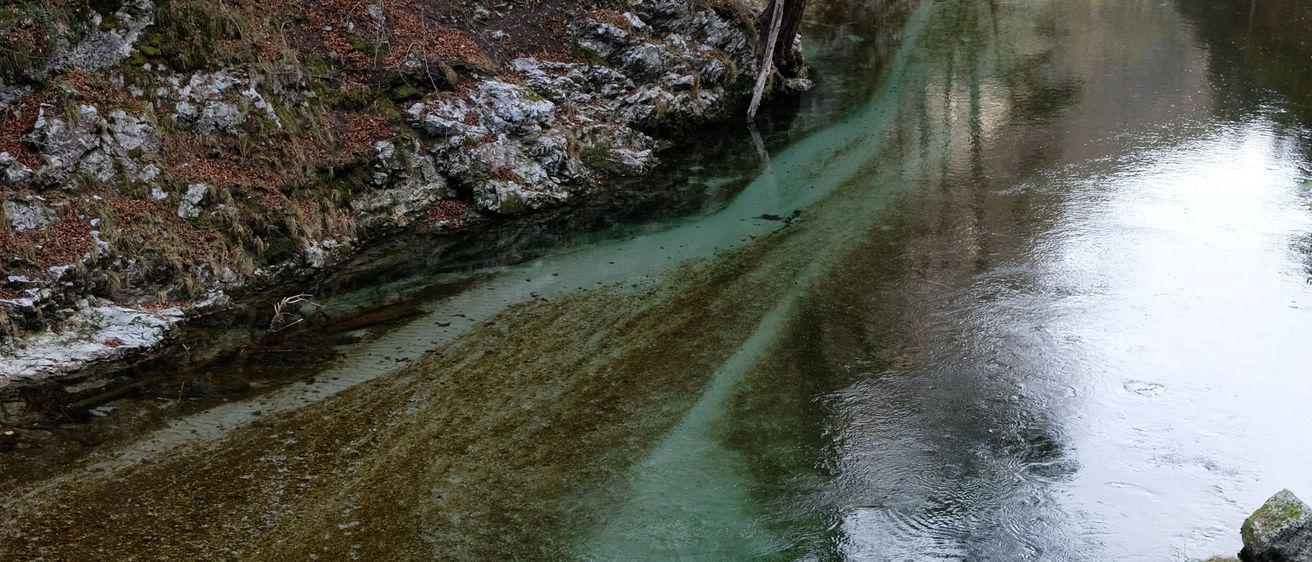 A serene river with green water flowing through a rocky landscape. The rocks are covered in algae and moss.