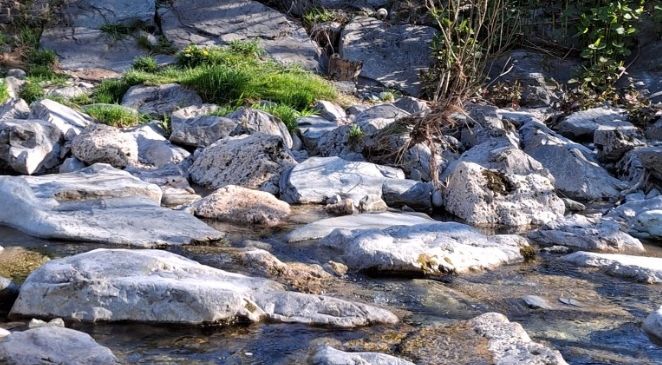 Ein felsiger Bach mit klarem Wasser fließt durch eine natürliche Landschaft mit verstreuten Felsen und Grün.