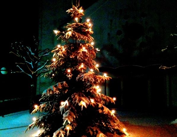 Ein Weihnachtsbaum ist nachts im Schnee beleuchtet, mit einem Gebäude im Hintergrund.
