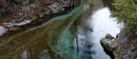 A river with a greenish hue flows through a rocky area. The rocks are covered with moss and leaves, and there are some dried leaves on the ground.