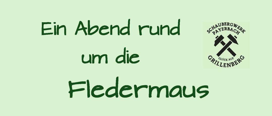 Plakat für eine Veranstaltung über Fledermäuse mit Datum, Uhrzeit und Informationen zum Sprecher. Das Plakat ist grün mit weißem Text und einer Fledermaus-Illustration.