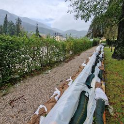Bild enthält, Plant, Tree, Fir, Gravel, Road, Path, Walkway, Vegetation