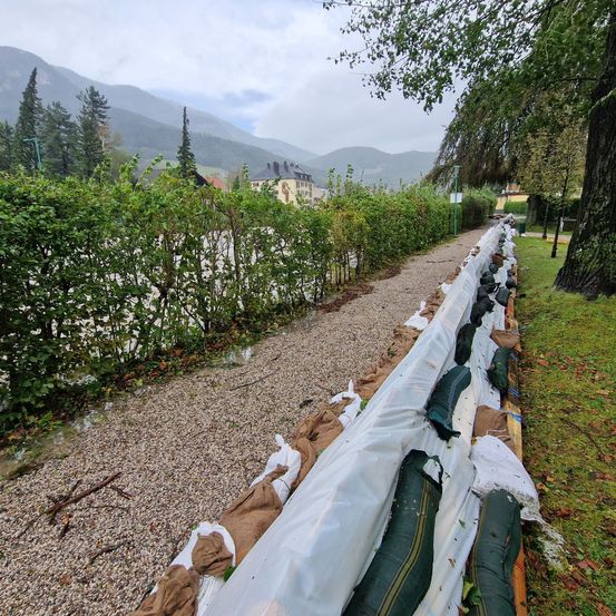 Bild enthält, Plant, Tree, Fir, Gravel, Road, Path, Walkway, Vegetation